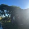 SE VENDE CAMPO  38 Ha Colonia El Potrero, Gualeguaychú, Entre Río